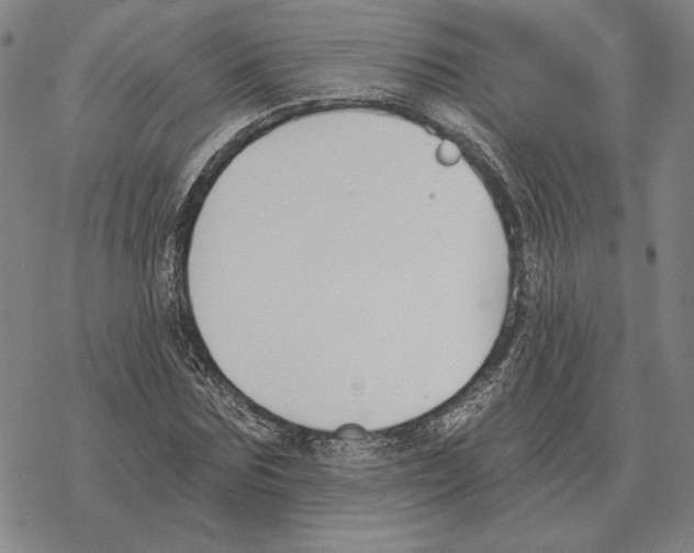 X0000069380875200606091648