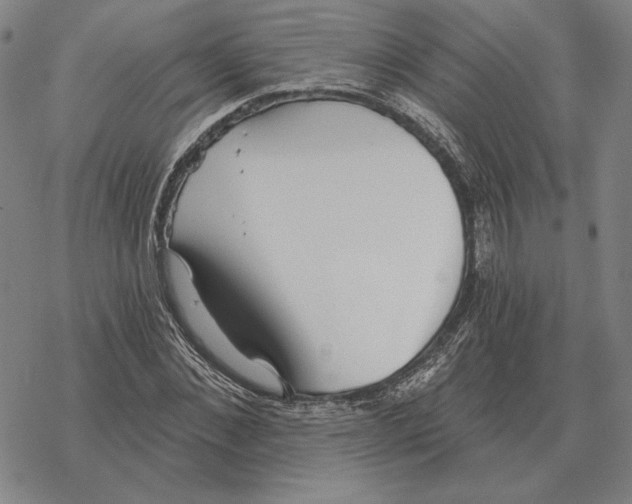 X0000069380876200606091648