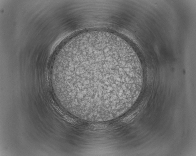 X0000069380878200606091648