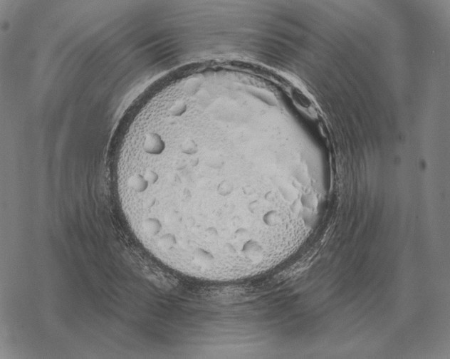 X0000069380879200606091648