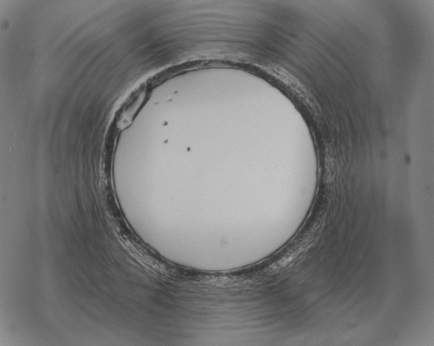 X0000069380880200606091648