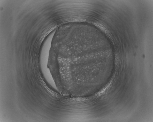 X0000069380881200606091648