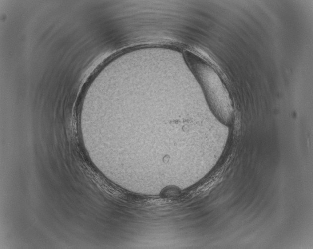 X0000069380883200606091648