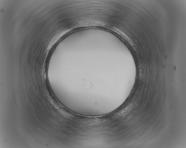 X0000069380885200606091648