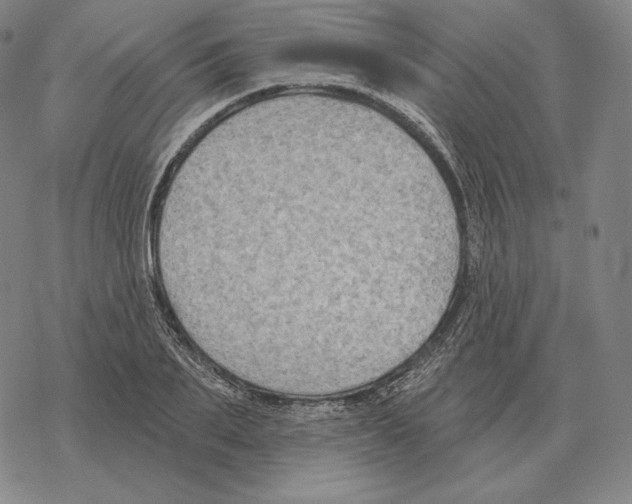 X0000069380887200606091648