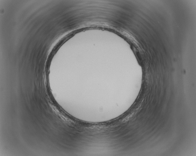 X0000069380888200606091648