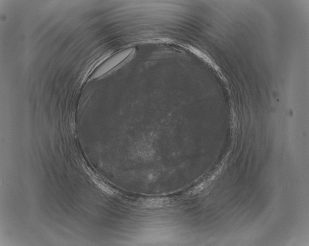 X0000069380889200606091648