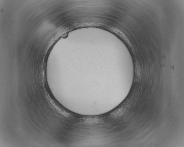 X0000069380890200606091648