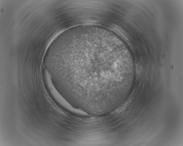 X0000069380891200606091648