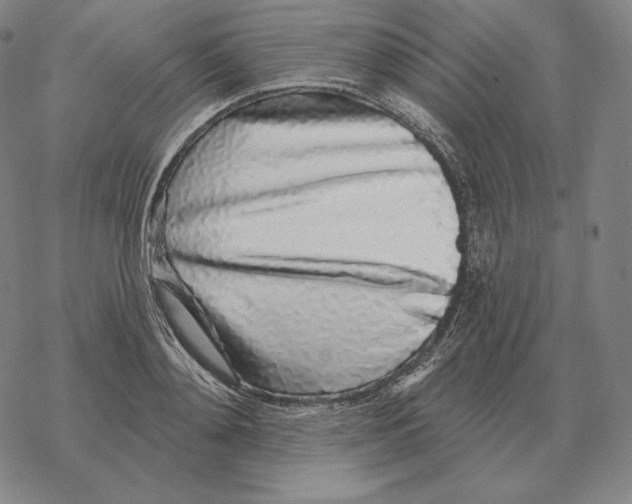 X0000069380892200606091648