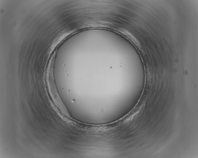 X0000069380893200606091648