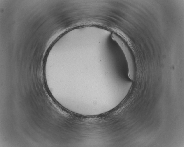 X0000069380894200606091648