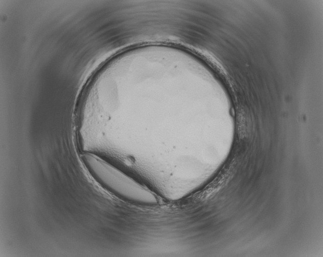 X0000069380895200606091648