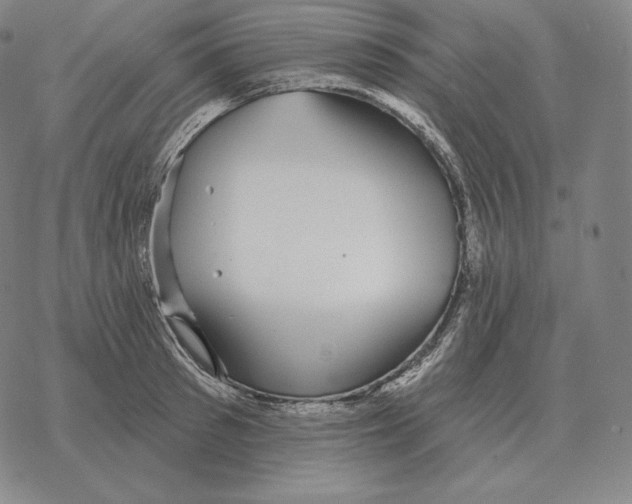 X0000069380897200606091648