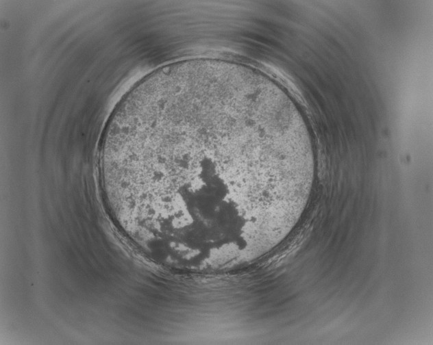 X0000069380899200606091648