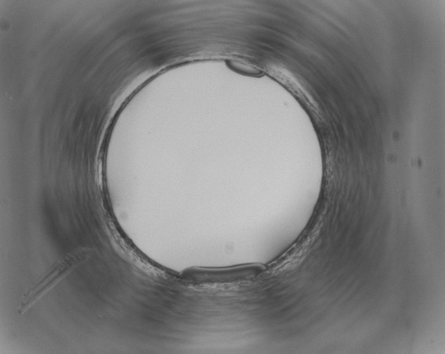 X0000069380900200606091648