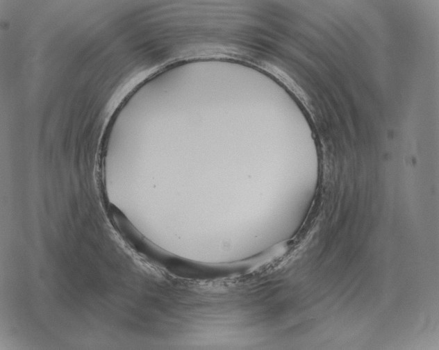 X0000069380901200606091648