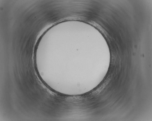 X0000069380902200606091648