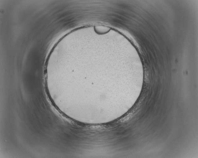 X0000069380903200606091648