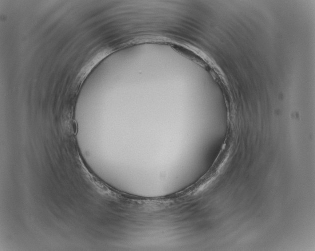 X0000069380905200606091648