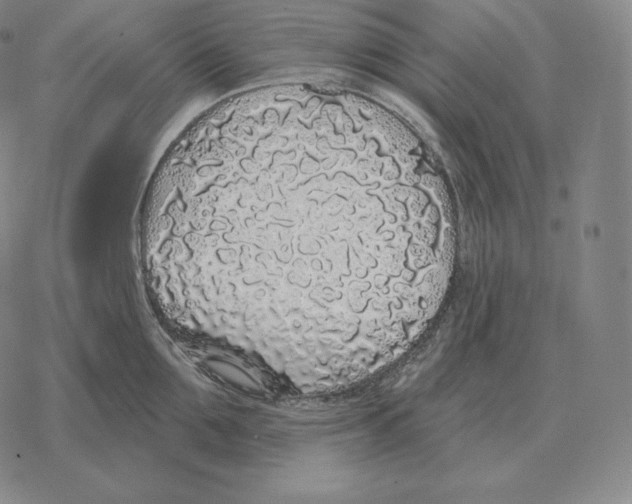 X0000069380907200606091648