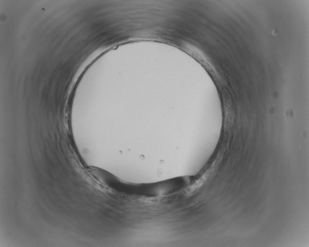 X0000069380908200606091648