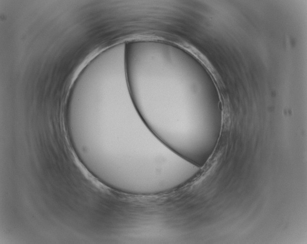 X0000069380909200606091648