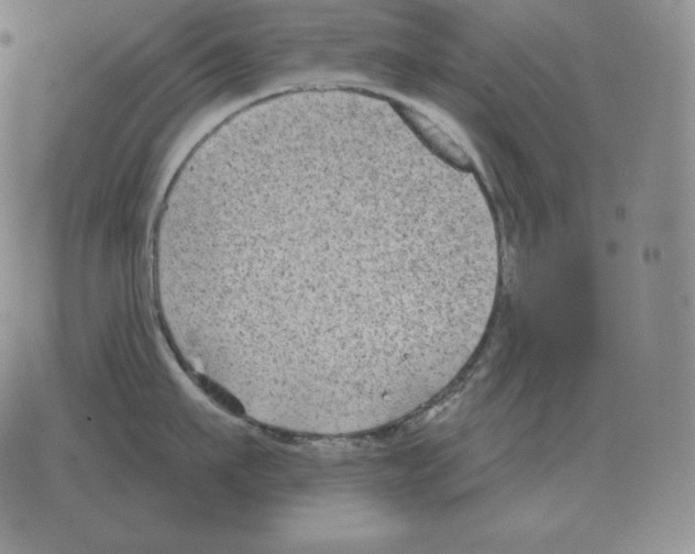 X0000069380911200606091648