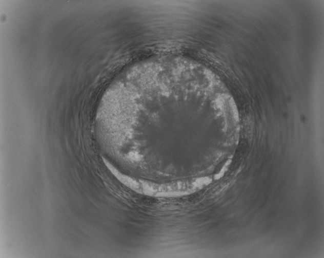 X0000069380913200606091647