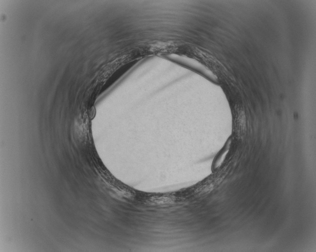 X0000069380914200606091647