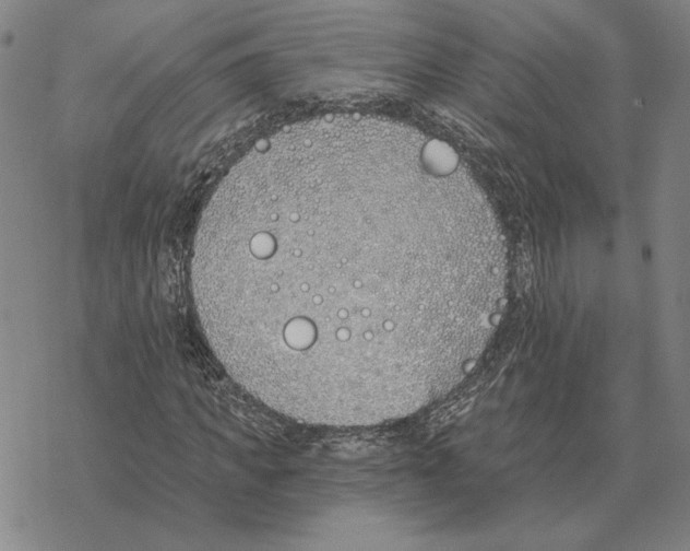 X0000069380917200606091647