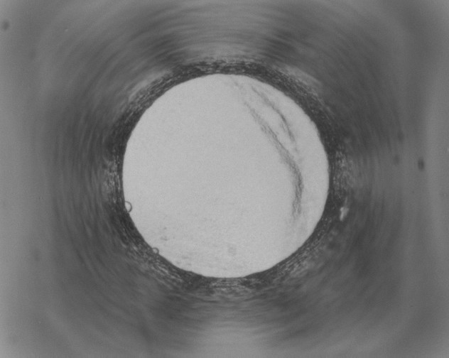 X0000069380918200606091647