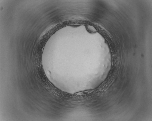 X0000069380919200606091647