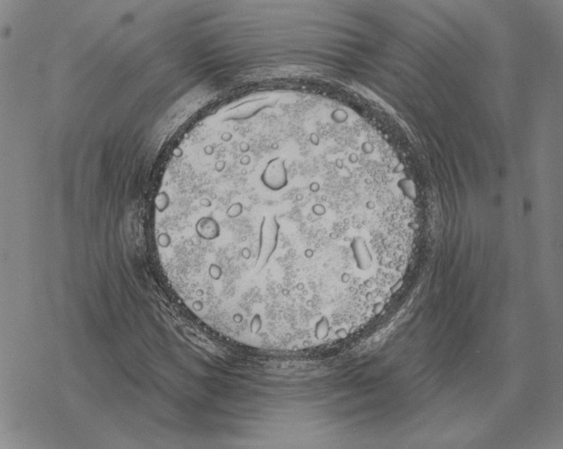 X0000069380921200606091647