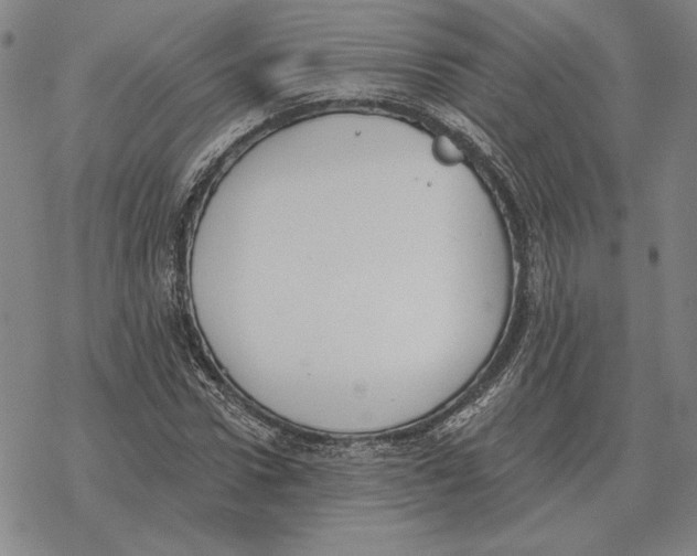 X0000069380922200606091647