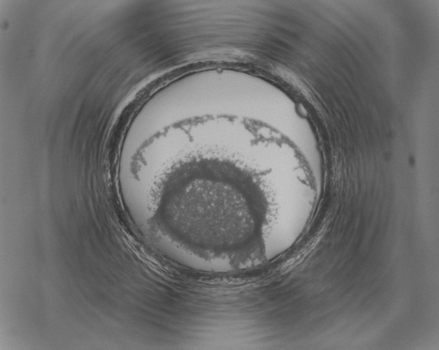 X0000069380923200606091647