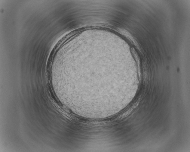 X0000069380924200606091647