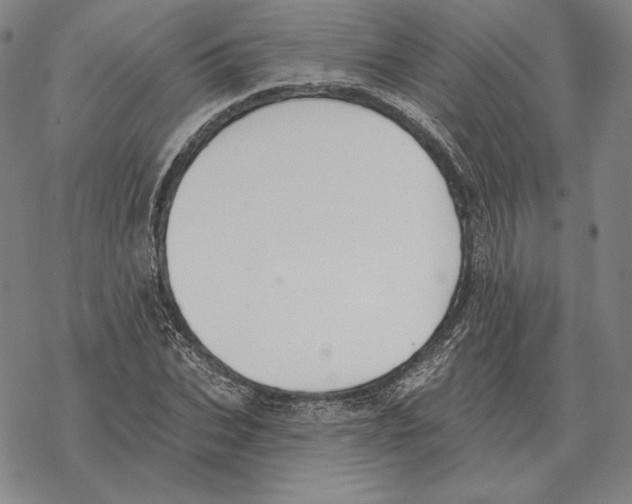 X0000069380927200606091647