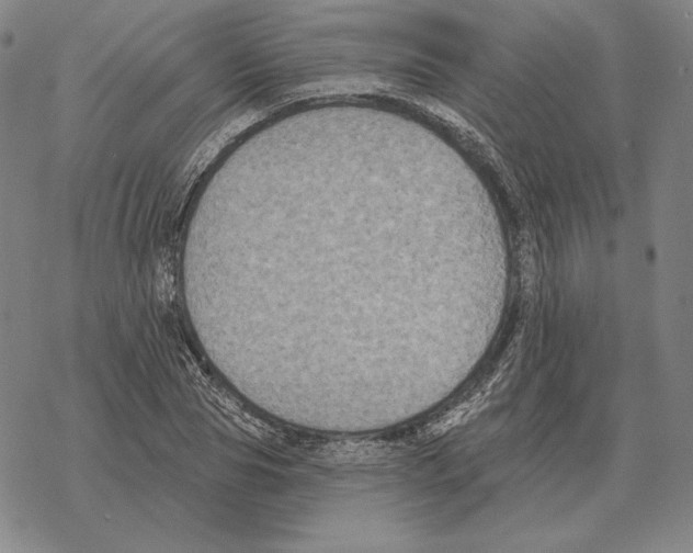 X0000069380929200606091647