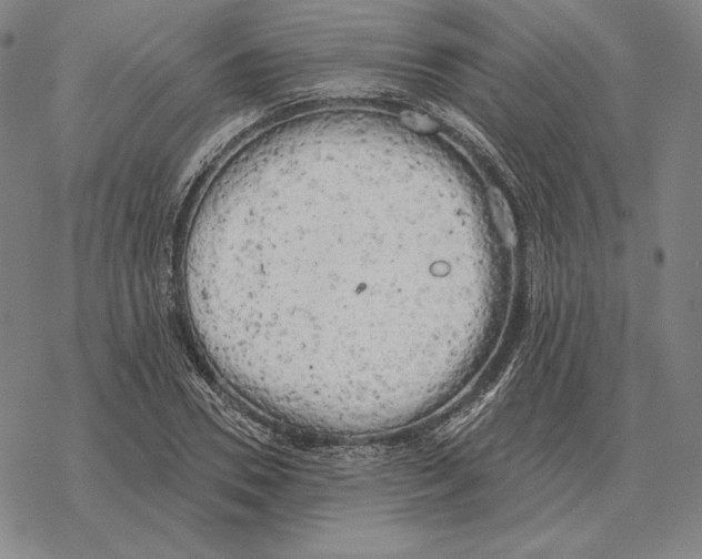 X0000069380930200606091647