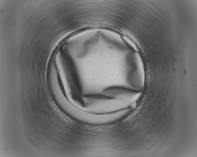 X0000069380932200606091647