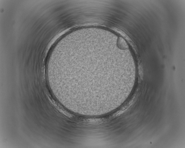 X0000069380933200606091647