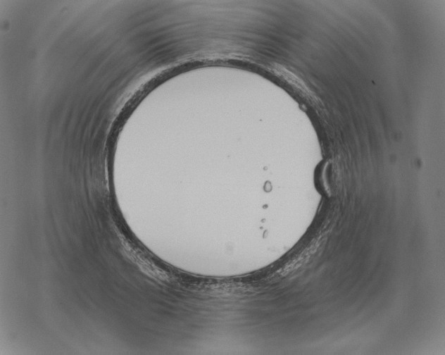 X0000069380934200606091647