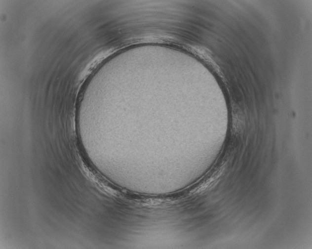 X0000069380938200606091647