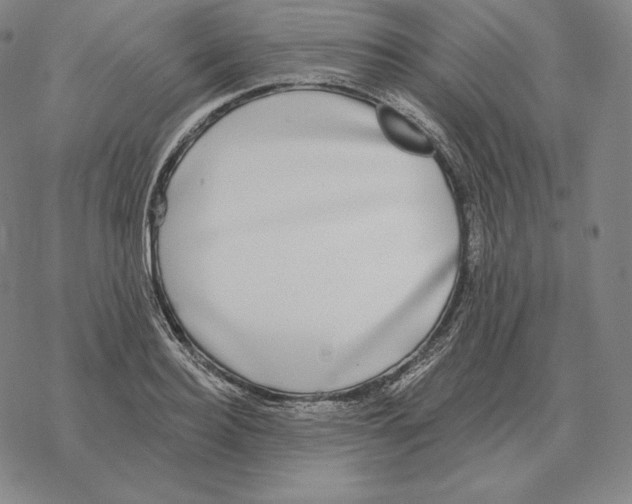 X0000069380940200606091647