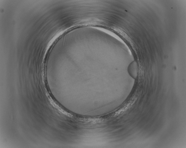 X0000069380941200606091647