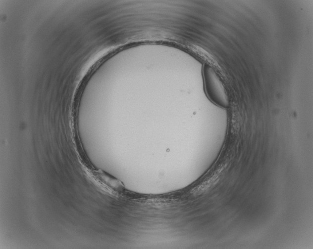 X0000069380942200606091647