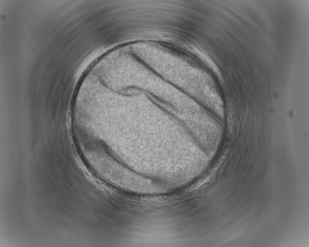 X0000069380944200606091647