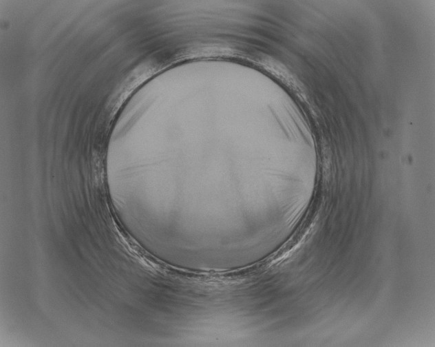 X0000069380945200606091647