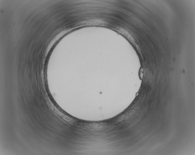 X0000069380947200606091647